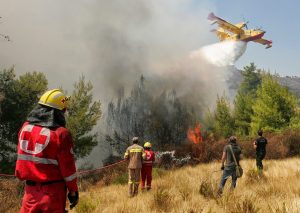 Politisi Gerindra Curiga Polisi Keluarkan SP3 Kasus Perusahaan Pembakaran Hutan