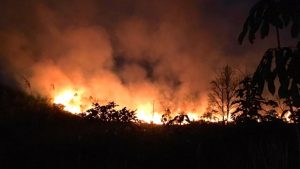 Bakar Lahan, Ayah-Anak ‘Diamankan’