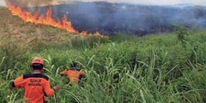 Hutan dan Lahan di Samosir Terbakar