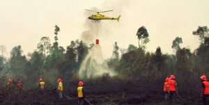 Asap Kebakaran Lahan dan Hutan di Riau Mulai Kurangi Jarak Pandang di Dumai