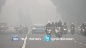 Jarak Pandang Menurun, Kota Pekanbaru Mulai Ditutupi Kabut Asap