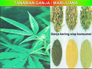 Budi Waseso: OJK Bisa Persempit Ruang Gerak Bandar Narkoba