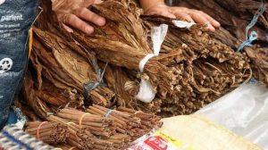 RUU Pertembakauan, FPKB DPR Tolak  Impor Tembakau