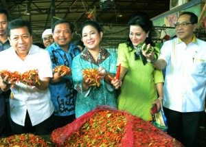 Setya Novanto: Untuk Stabilkan Harga, DPR Segera Bentuk Badan Pengendalian Pangan