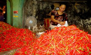 Harga Cabai di Sejumlah Melonjak Tajam, di Kalimantan Timur Capai Rp 250.000 perkg