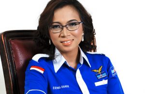 Kader Demokrat: Pengadilan Yang Berhak Nyatakan Buku Jokowi Undercover Terlarang