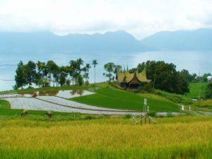 Surat Edaran Gubernur Sumbar yang Menghebohkan