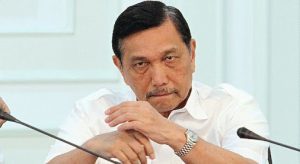 Luhut: Jangan Ada Pribumi dan Nonpribumi