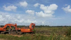 DPR: Reformasi Agraria Jokowi Harus Sinergi Program Cetak Sawah