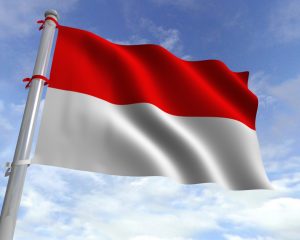 Bendera Indonesia Dicetak Terbalik di Buku Panduan SEA Games Kuala Lumpur