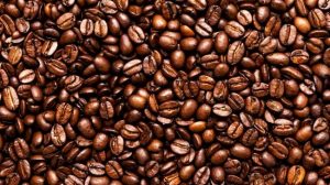Kopi Sumbar Diekspor ke Amerika Serikat