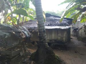 Masih Ada Warga Riau Tinggal di Gubuk Reot