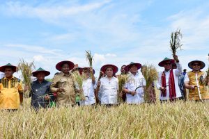 Dipanggil KPK, Novanto Malah Lakukan Panen Raya di NTT