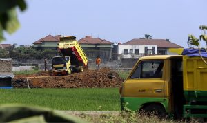 DPR Rancang UU Budidaya Pertanian Untuk Lindungi Lahan Pertanian