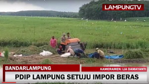 Tidak Pro Petani, Komite II DPD RI Tolak Kebijakan Impor Beras