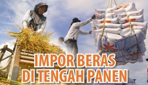 Zulkifli Hasan Minta Optimalkan Beras Stok Bulog Untuk Operasi Pasar