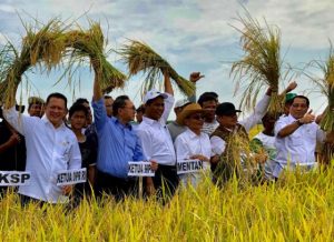 Ketua DPR Tak Ingin Impor Beras Terus Berlanjut