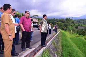 Komisi IV DPR Sesalkan Susutnya Lahan Sawah Abadi yang Sudah Ditetapkan Unesco di Bali
