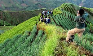 Hindari Alih Fungsi Lahan, Andi Gagas Nasionalisasi Agrowisata