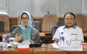 Komite I DPD RDP dengan Pakar Otda: Implementasi Otsus Belum Maksimal