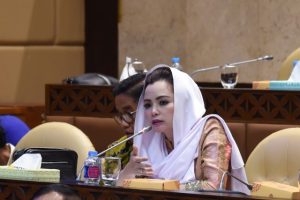 Novita Minta Kementerian PURR Bangun Jembatan Gantung di Derah Banyak Titik Sungai