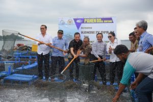 Nelayan di Kepri Kekurangan Benih Ikan