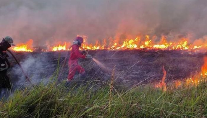 Karhutla di Indonesia, Ada 57 Titik Panas di Kalbar dan 600 Ha Lahan Terbakar di Riau