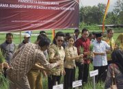 Ratu Hemas Hadiri Panen Raya Bawang Merah di Gunungkidul