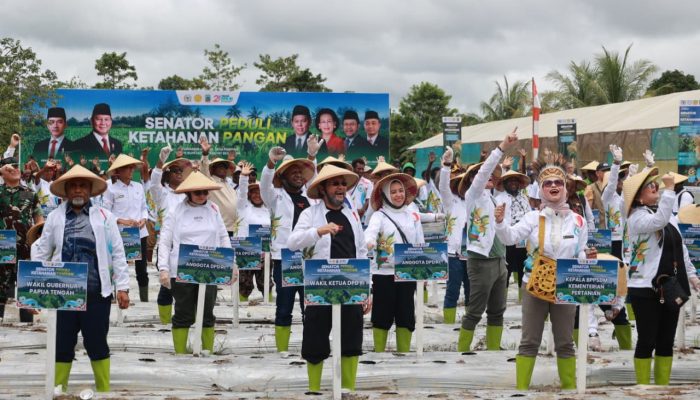 Fokus Perkuat Pertanian Lokal, DPD RI Luncurkan Program Ketahanan Pangan di Papua Tengah