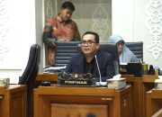 RUU PPMI Beri Payung Hukum Menindak  Tegas Praktik Mafia Penyalur Tenaga Kerja Ilegal