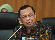 Bandara Ilegal di Morowali, Politisi Demokrat: Wajib Ditertibkan Tanpa Kompromi
