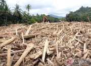 Kayu yang Dibawa Banjir di Aceh Tamiang Dapat Dimanfaatkan Pemerintah Daerah