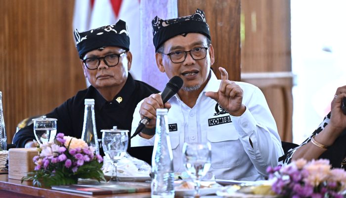 DPR: Revisi UU Cagar Budaya Harus Menjawab Kebutuhan Riil di Lapangan