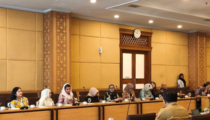 Agita: Revisi UU Perlindungan Konsumen Harus Mampu Menjawab Tantangan Perkembangan Ekonomi Digital