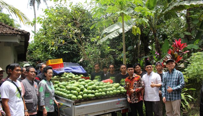 DPD RI Serahkan Bantuan Pompa untuk Dukung Produktivitas Petani di Sleman