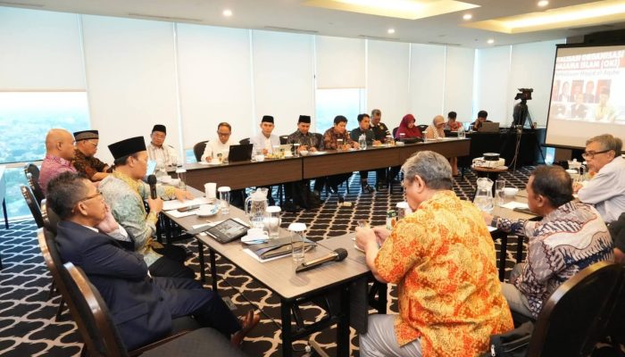 Hidayat Nur Wahid: Revitalisasi OKI Sangat Penting untuk Kemerdekaan Palestina